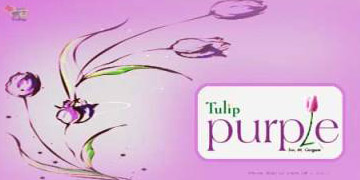 Tulip Purple